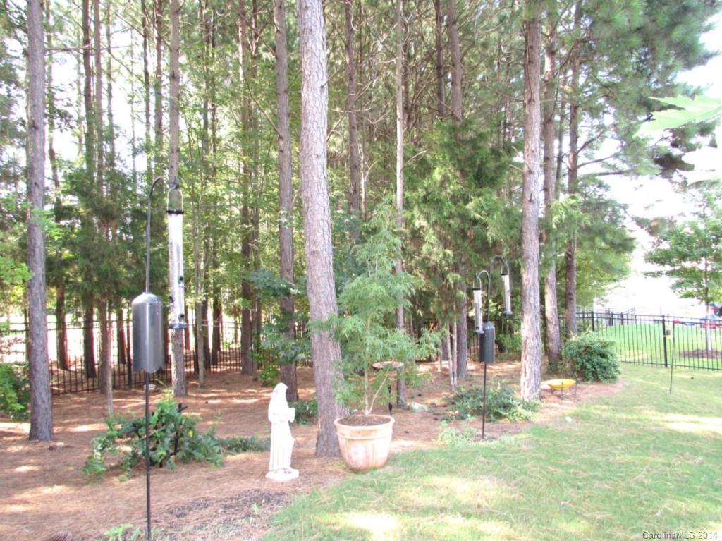 355 Windell Drive Fort Mill, SC 29708 - Photo 3 of 24