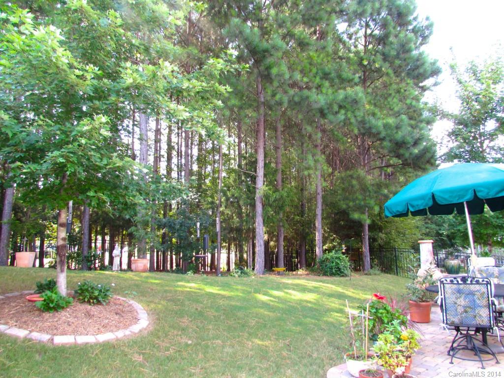 355 Windell Drive Fort Mill, SC 29708 - Photo 4 of 24
