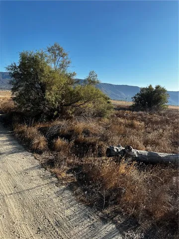 a view of an outdoor space and a yard