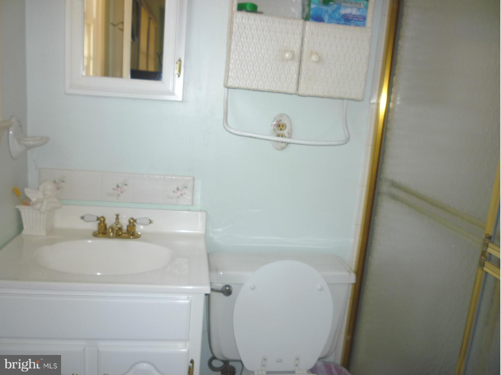 14900 Peach Orchard Road Silver Spring, MD 20905 - Photo 24 of 30 Full Bath in MBR with shower