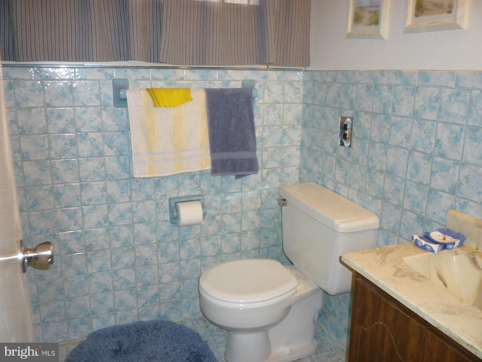 14900 Peach Orchard Road Silver Spring, MD 20905 - Photo 30 of 30 Full Bath in Basement with shower