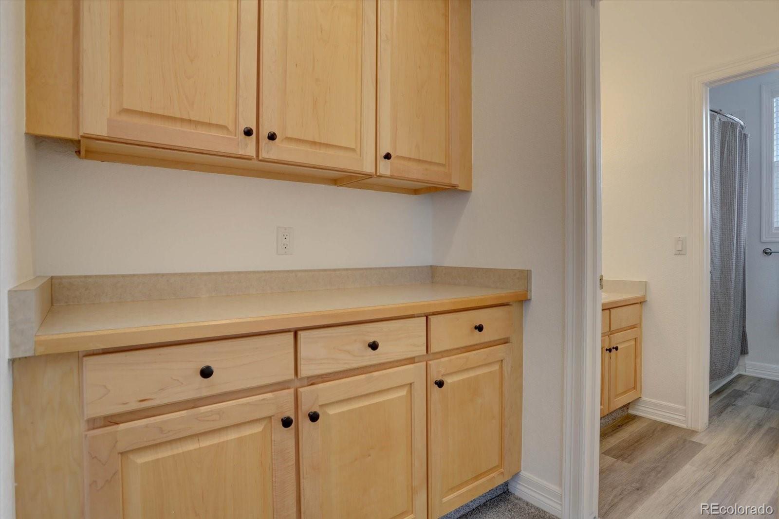 358 West Winterthur Way Highlands Ranch, CO 80129 - Photo 21 of 42 Gallery Image 21