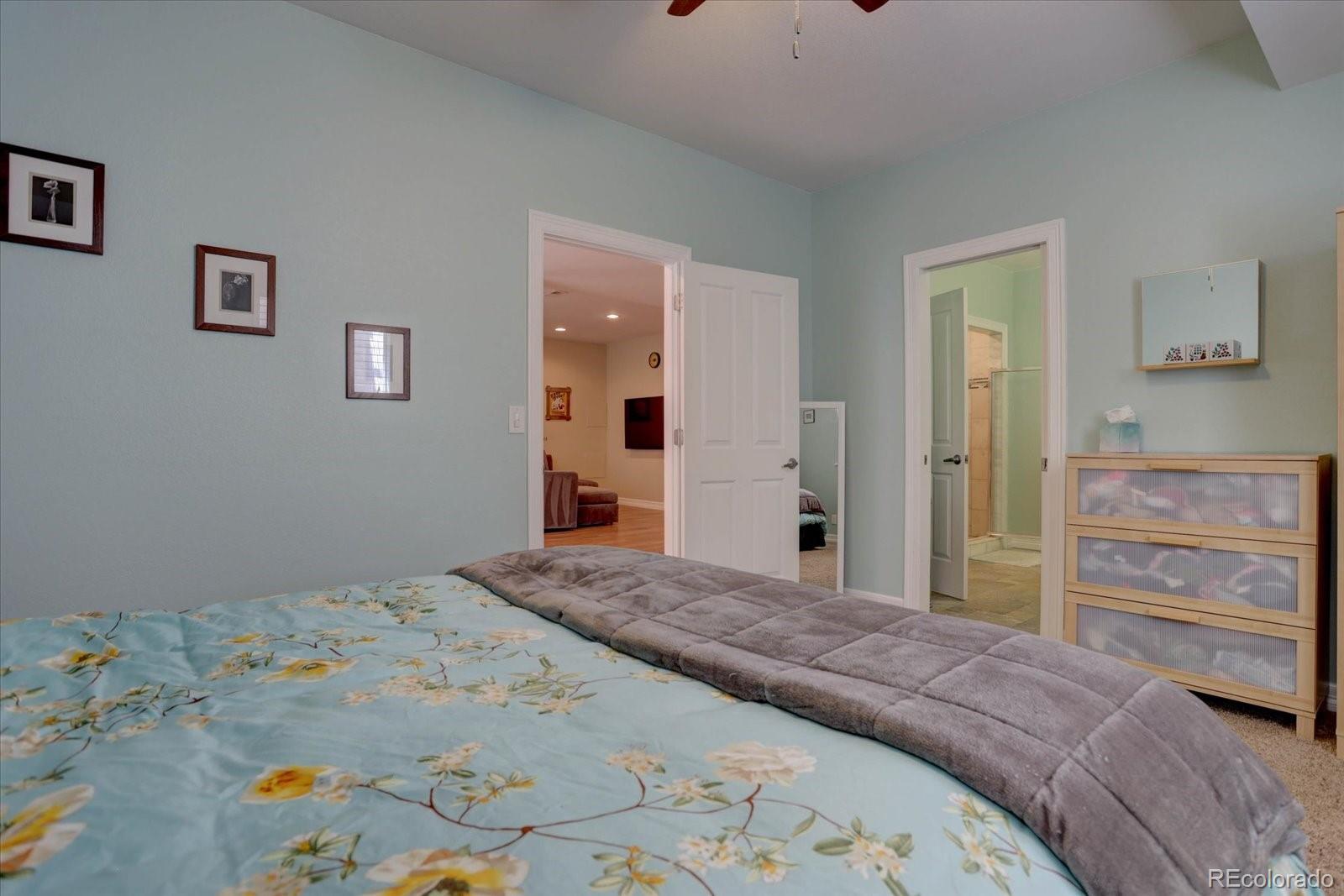 358 West Winterthur Way Highlands Ranch, CO 80129 - Photo 30 of 42 Gallery Image 30