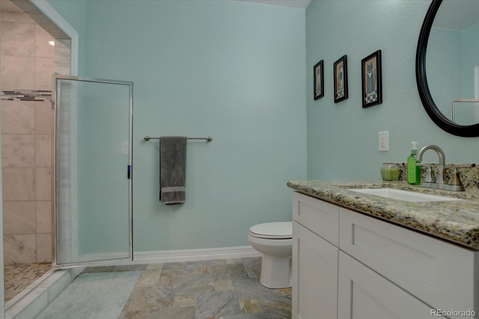 358 West Winterthur Way Highlands Ranch, CO 80129 - Photo 31 of 42 Gallery Image 31