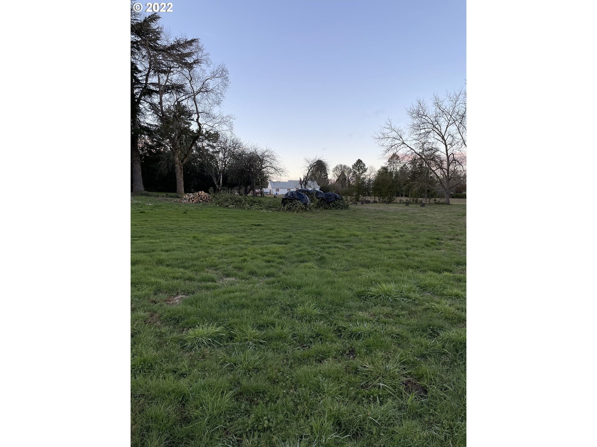 1121 Gales Creek Road Forest Grove, OR 97116 - Photo 3 of 4 a view of a green yard