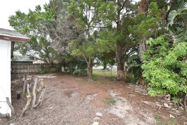 a view of a tree in the middle of a yard
