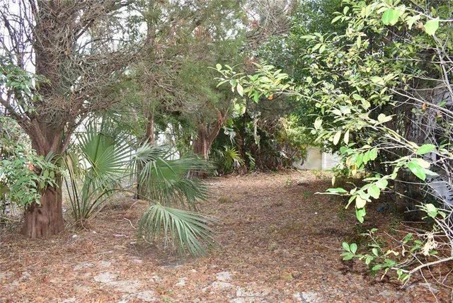 a backyard of a house with lots of green space