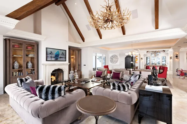 a living room with furniture flower pot and a fireplace