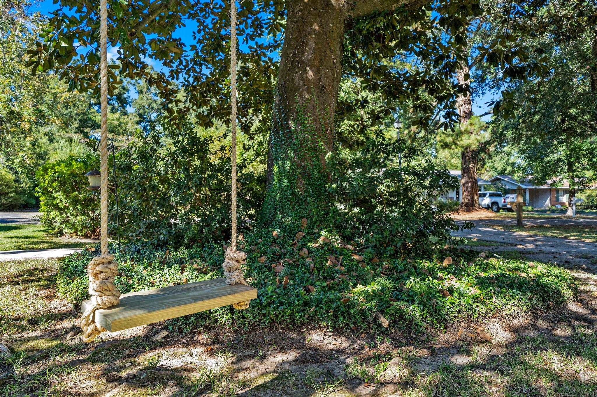 756 Michigan Avenue Fairhope, AL 36532 - Photo 4 of 26 Idyllic tree swing