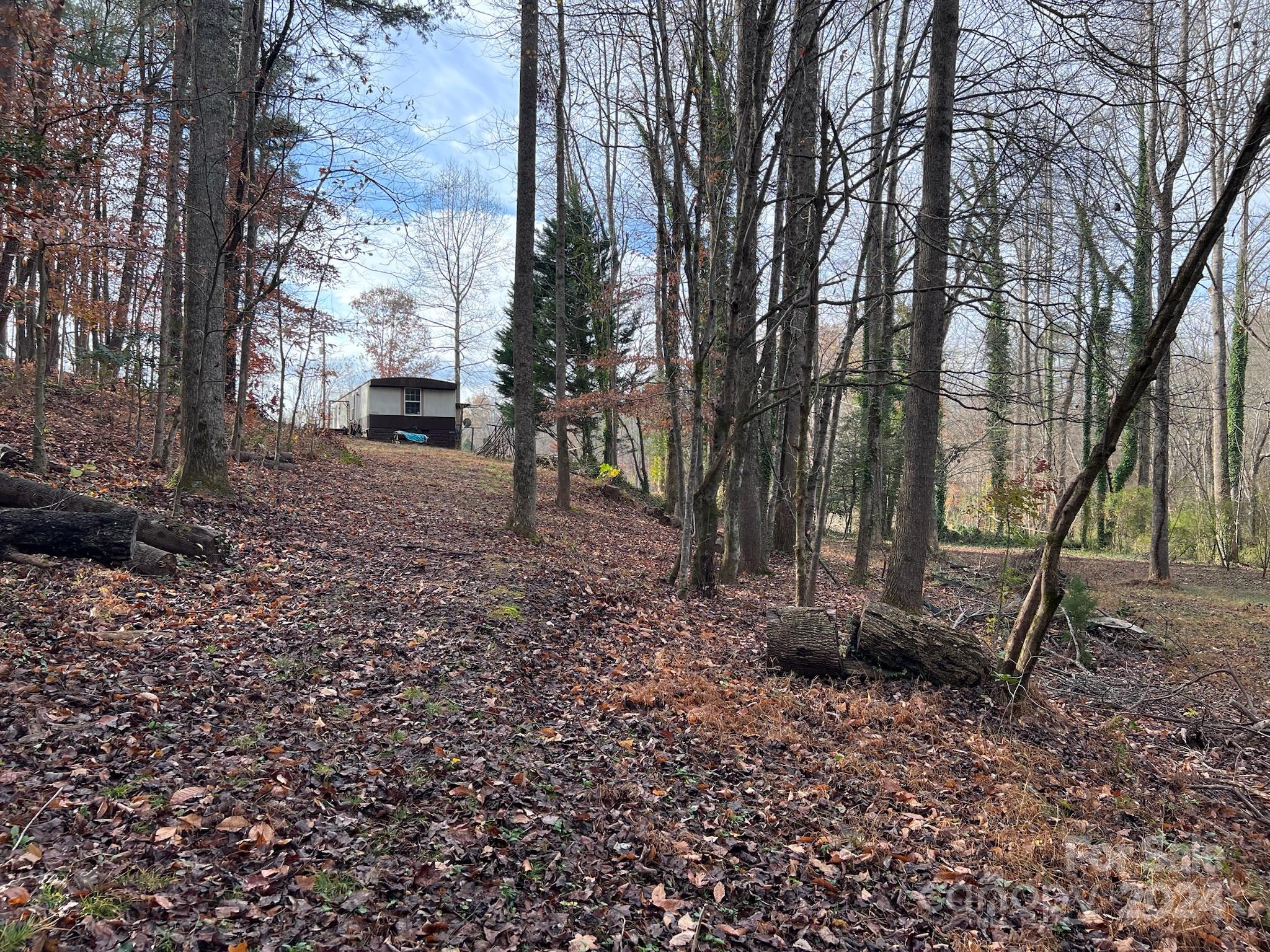 139 Pleasant Hill Road Marion, NC 28752 - Photo 7 of 18 a backyard of a house with lots of green space
