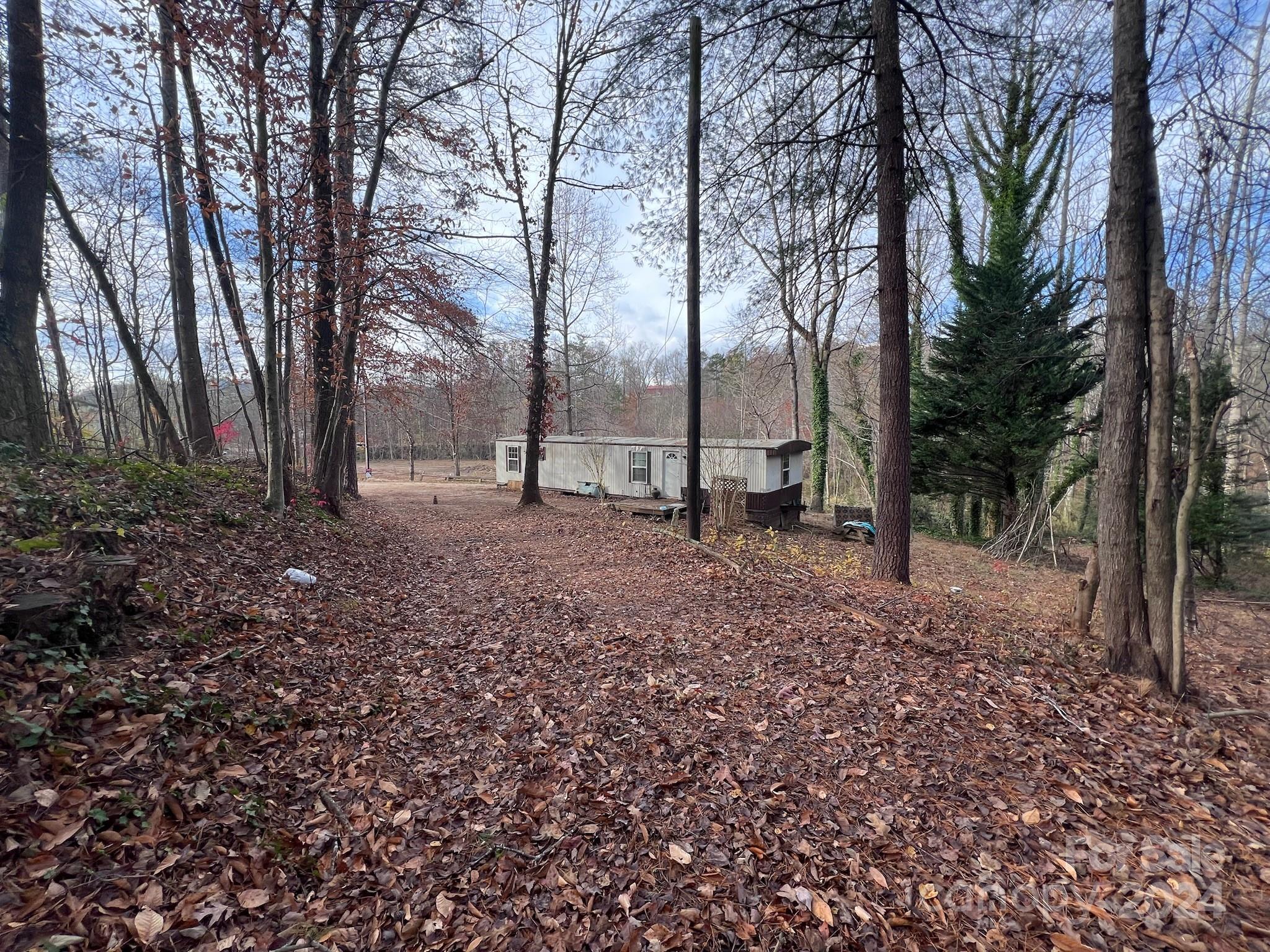 139 Pleasant Hill Road Marion, NC 28752 - Photo 8 of 18 a view of a backyard with trees