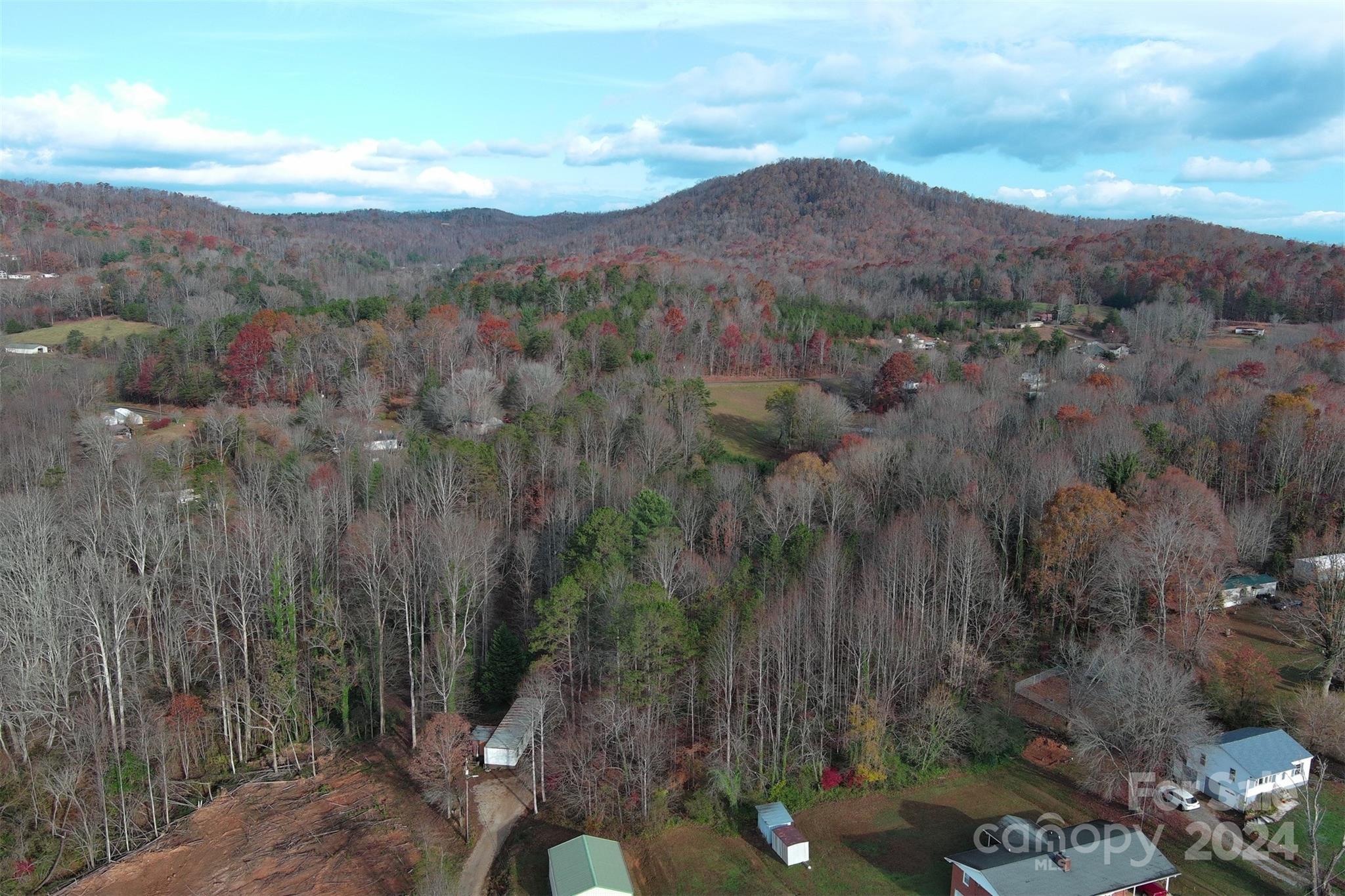 139 Pleasant Hill Road Marion, NC 28752 - Photo 9 of 18 a view of a lot of trees in a field