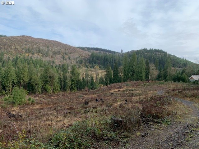 53321 East Marmot Road Sandy, OR 97055 - Photo 15 of 26 Gallery Image 15