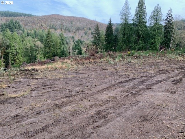 53321 East Marmot Road Sandy, OR 97055 - Photo 17 of 26 Gallery Image 17