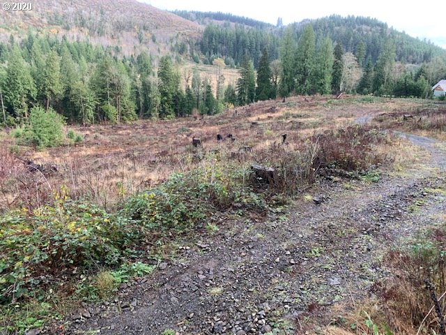 53321 East Marmot Road Sandy, OR 97055 - Photo 20 of 26 Gallery Image 20