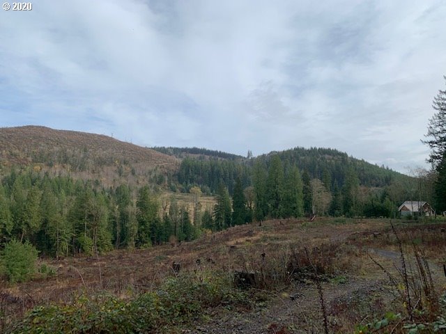 53321 East Marmot Road Sandy, OR 97055 - Photo 22 of 26 Gallery Image 22
