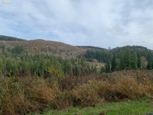 53321 East Marmot Road Sandy, OR 97055 - Photo 25 of 26 Gallery Image 25