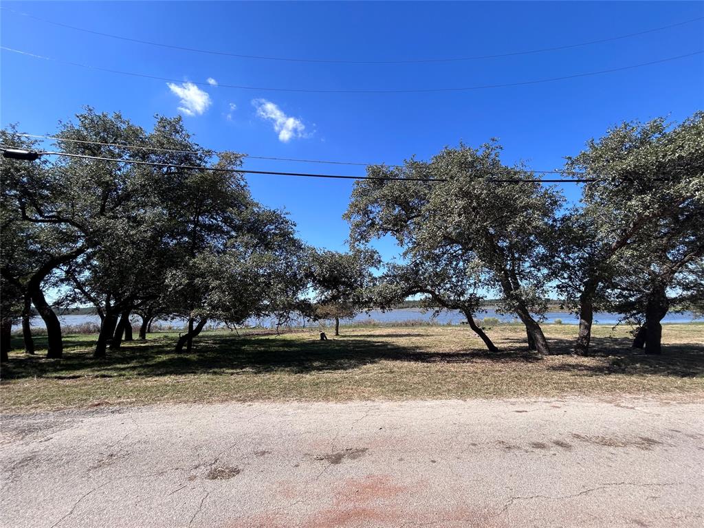 3420 Bounding Main Drive May, TX 76857 - Photo 8 of 14 a view of backyard with green space