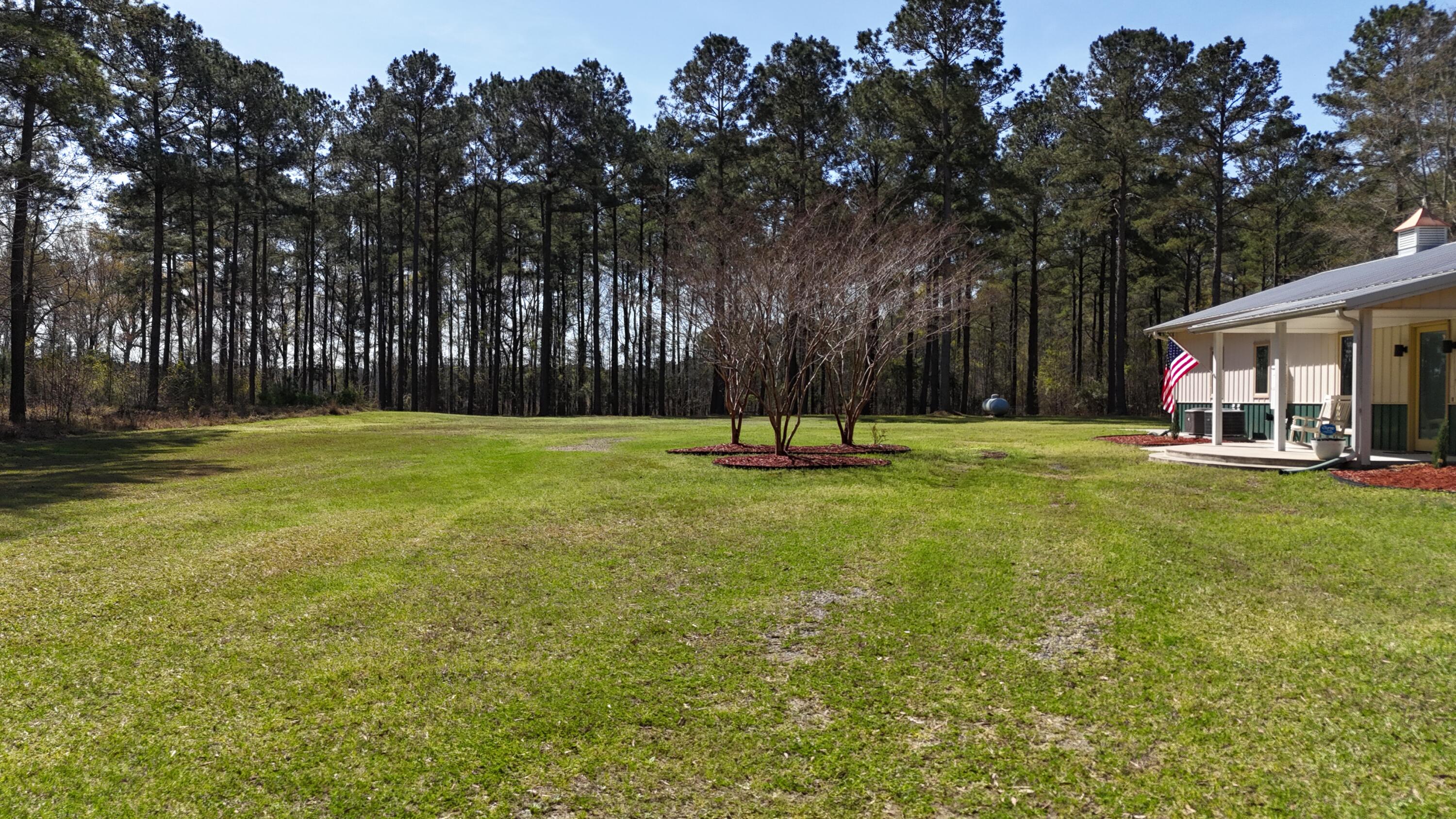 1995 Sam Nexsen Road Summerton, SC 29148 - Photo 43 of 110