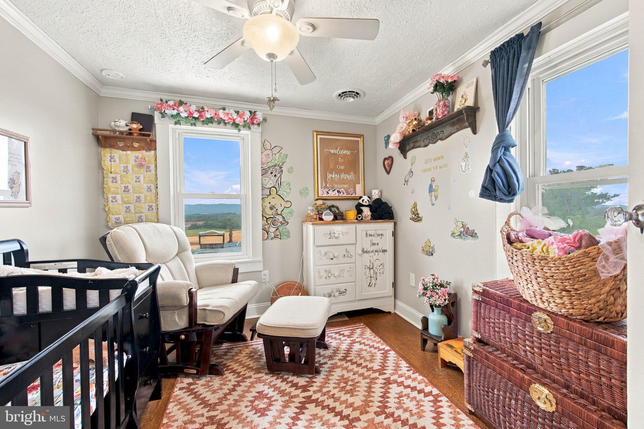67 Lodge Hall Road Mount Jackson, VA 22842 - Photo 24 of 49 Gallery Image 24