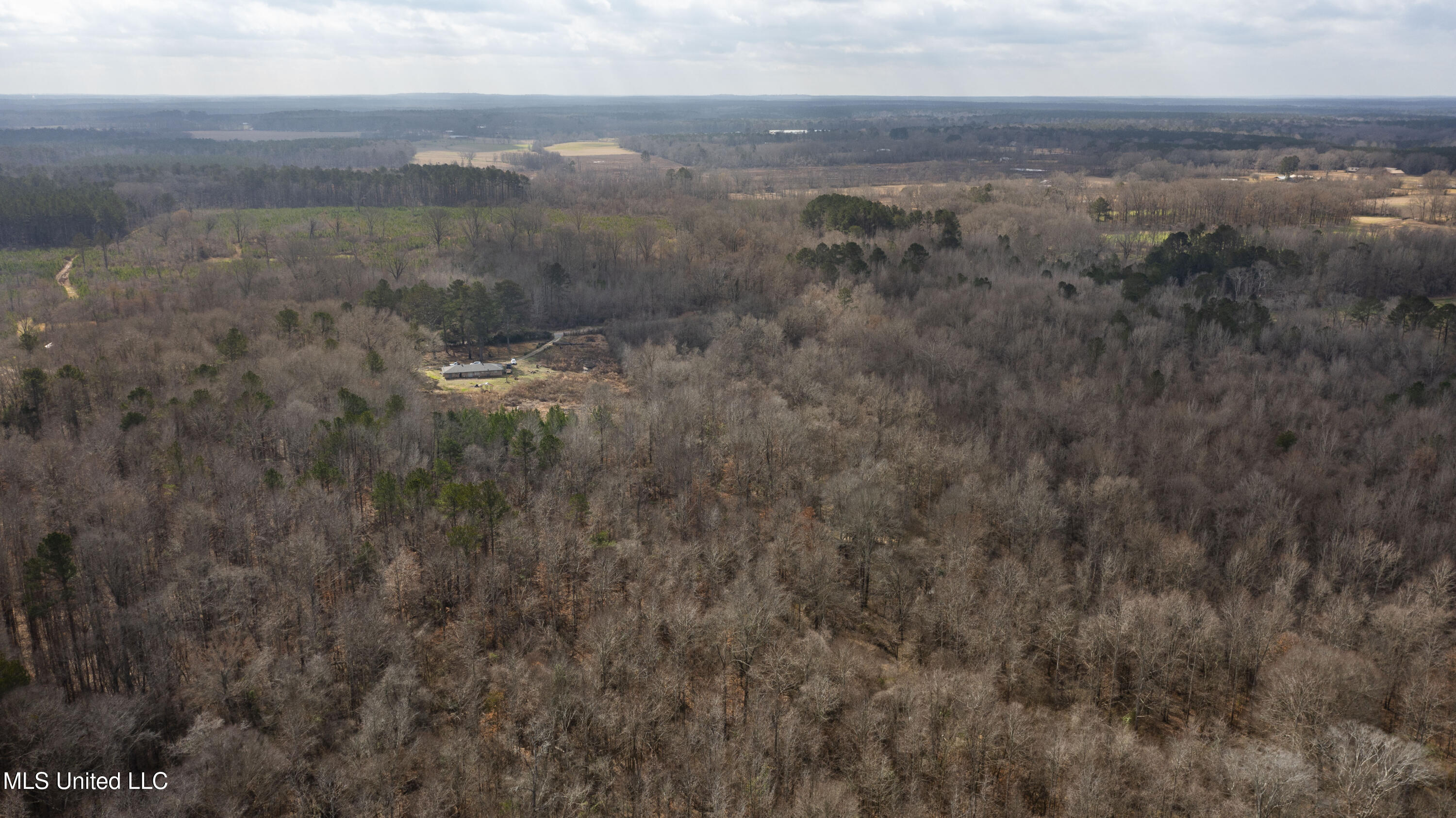 1002 Hillsboro Vfw Road Forest, MS 39074 - Photo 35 of 36 1002 Hilsboro-40