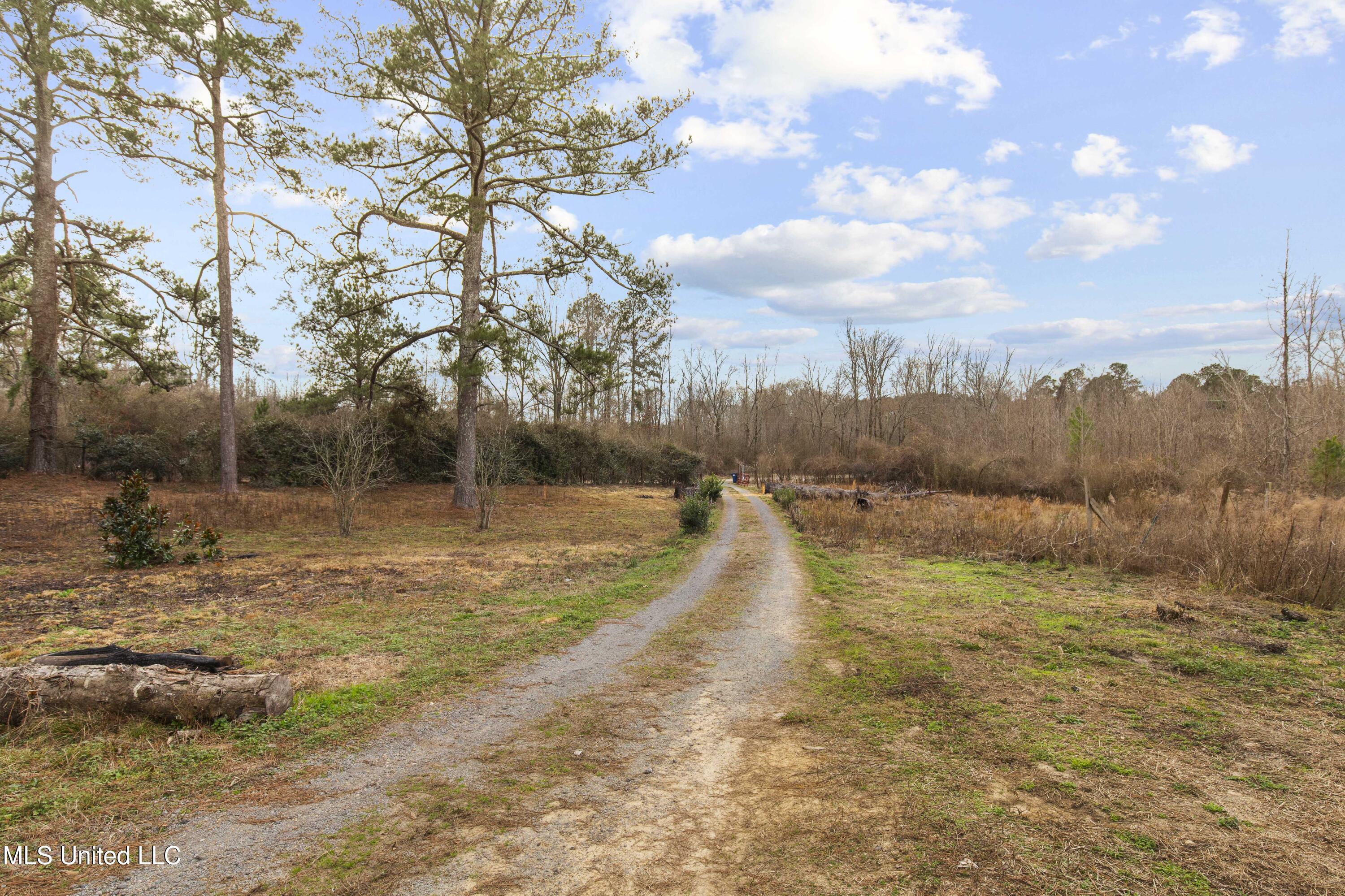 1002 Hillsboro Vfw Road Forest, MS 39074 - Photo 5 of 36 1002 Hilsboro-3