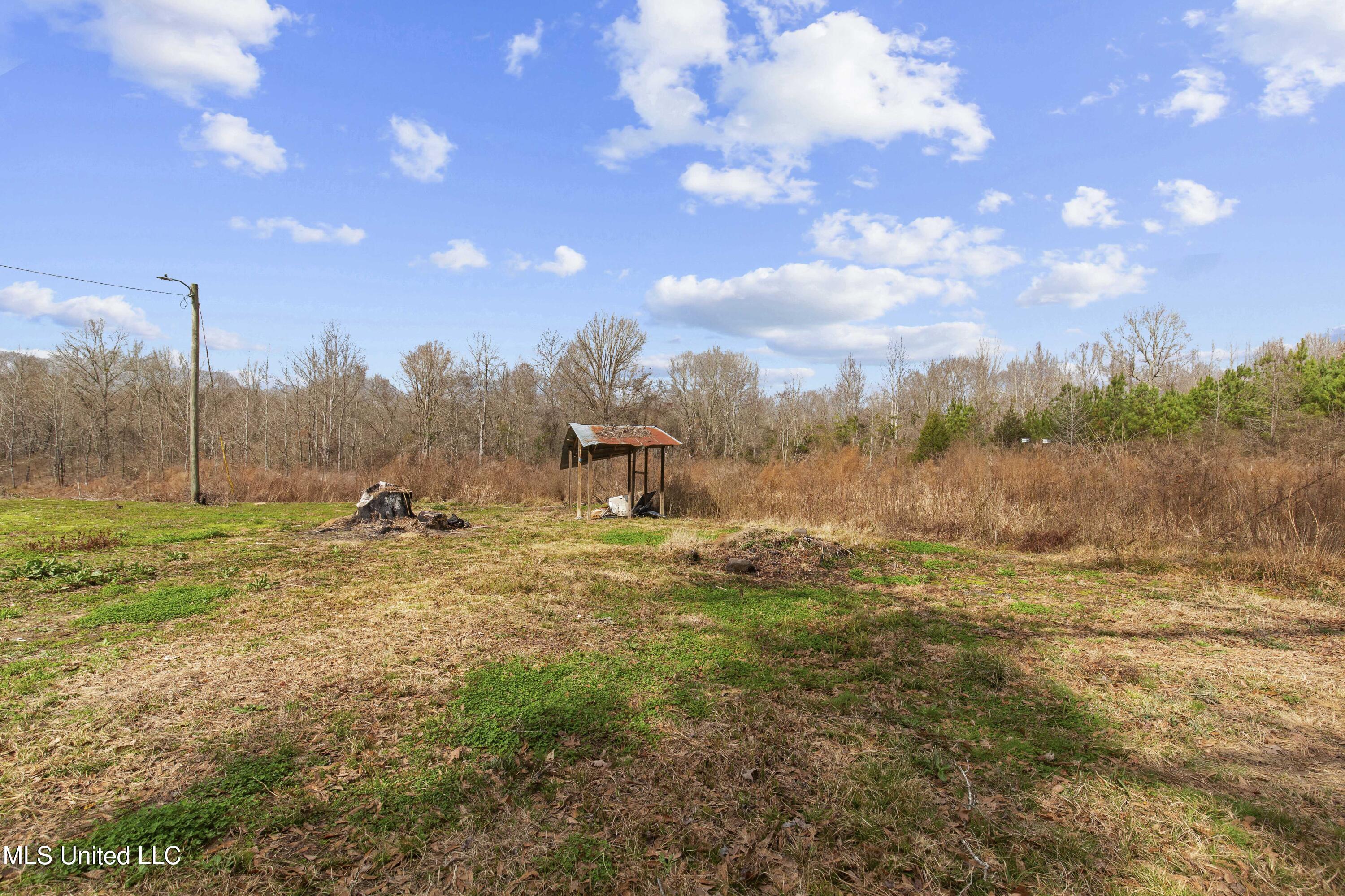 1002 Hillsboro Vfw Road Forest, MS 39074 - Photo 7 of 36 1002 Hilsboro-33