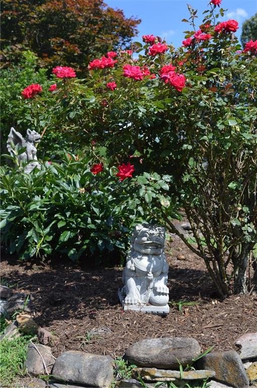 562 Country Club Road Mount Airy, NC 27030 - Photo 28 of 29 Gallery Image 28