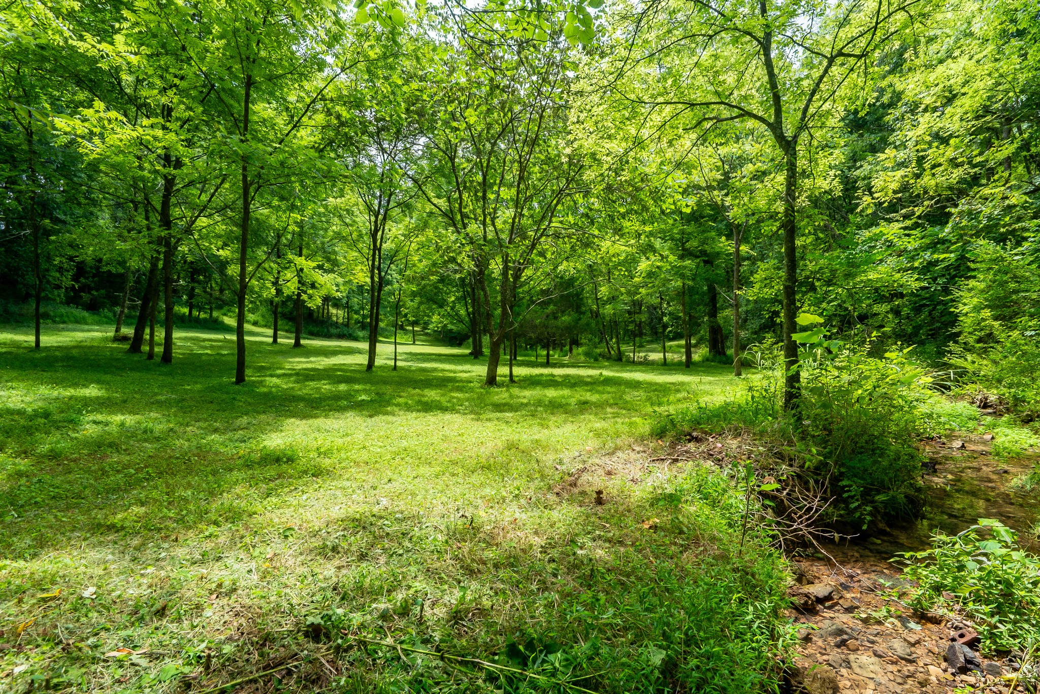 0 Bethlehem Road Springfield, TN 37172 - Photo 9 of 41 Gallery Image 9