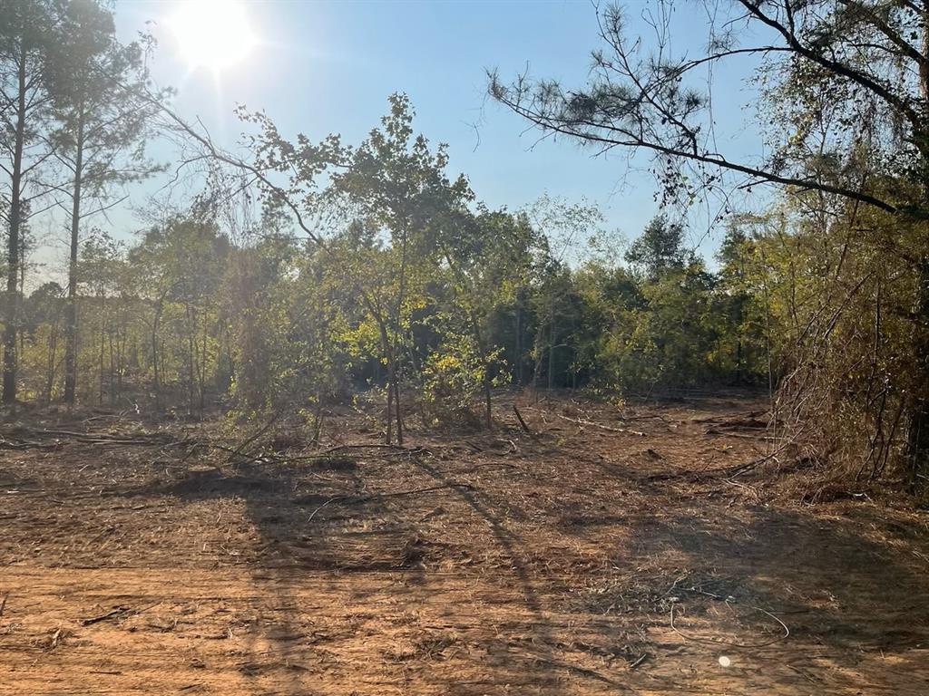 5 Lake Road Plain Dealing, LA 71064 - Photo 2 of 11 a view of a yard with trees in the background