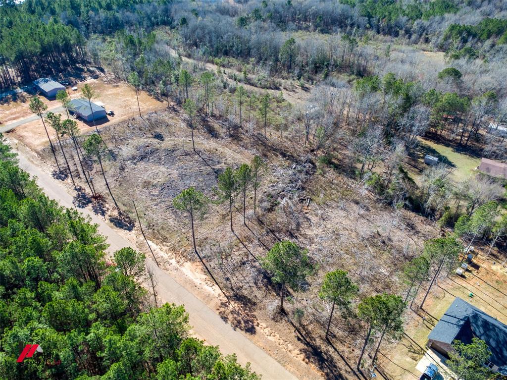 5 Lake Road Plain Dealing, LA 71064 - Photo 8 of 11 a view of a yard with plants and large trees