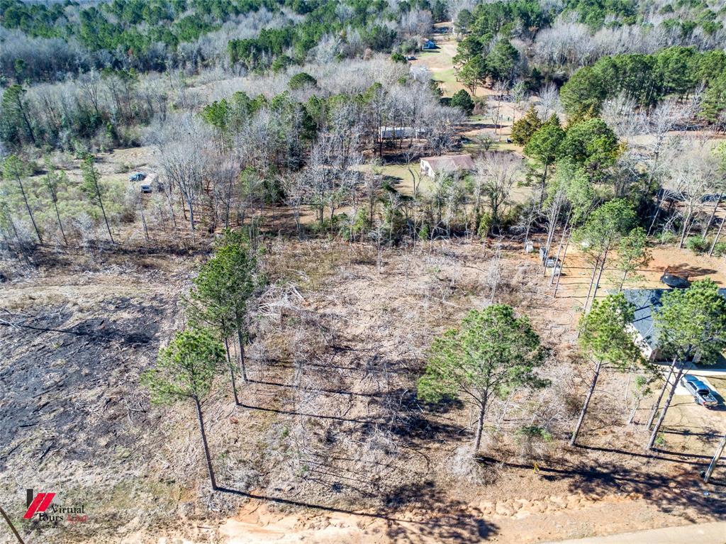5 Lake Road Plain Dealing, LA 71064 - Photo 9 of 11 a view of a yard with plants and large trees