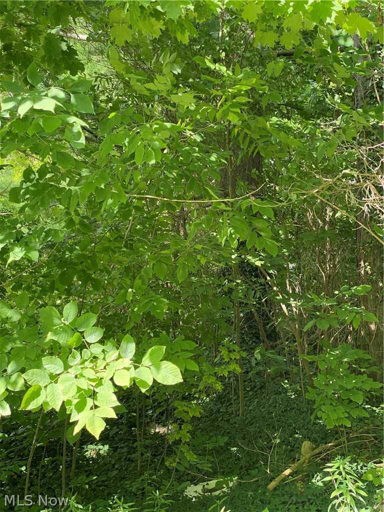 Leroy Road Thompson, OH 44086 - Photo 1 of 2 Gallery Image 1