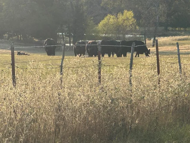 a view of lake with green space