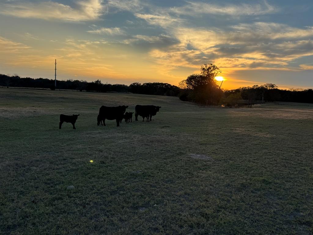 3827 County Road 3827 Wills Point, TX 75169 - Photo 21 of 25 a view of a lake with an outdoor seating