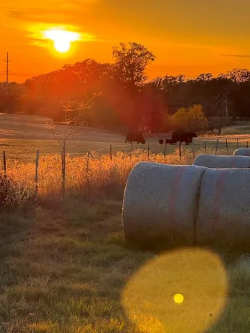 $722,520 | 3827 County Road 3827, Wills Point, TX 75169