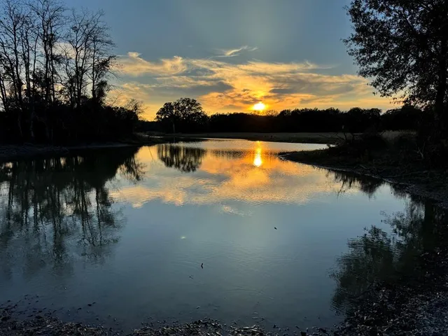 a view of lake from yard