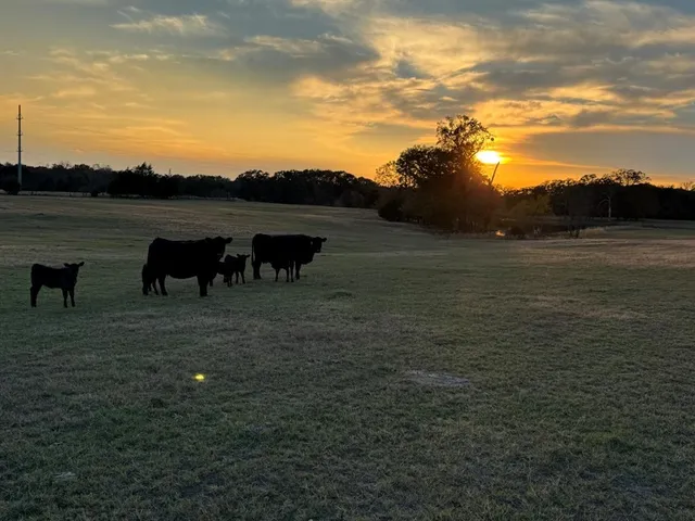 a view of a lake with a yard