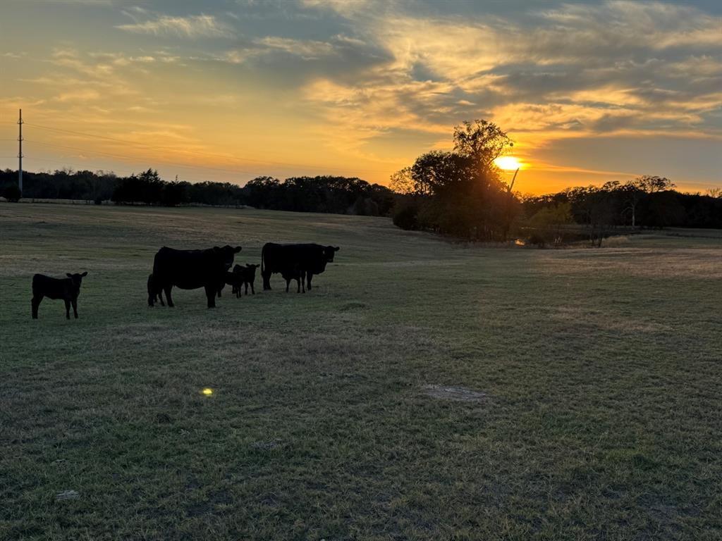 3827 County Road 3827 Wills Point, TX 75169 - Photo 4 of 25 a view of a lake with a yard