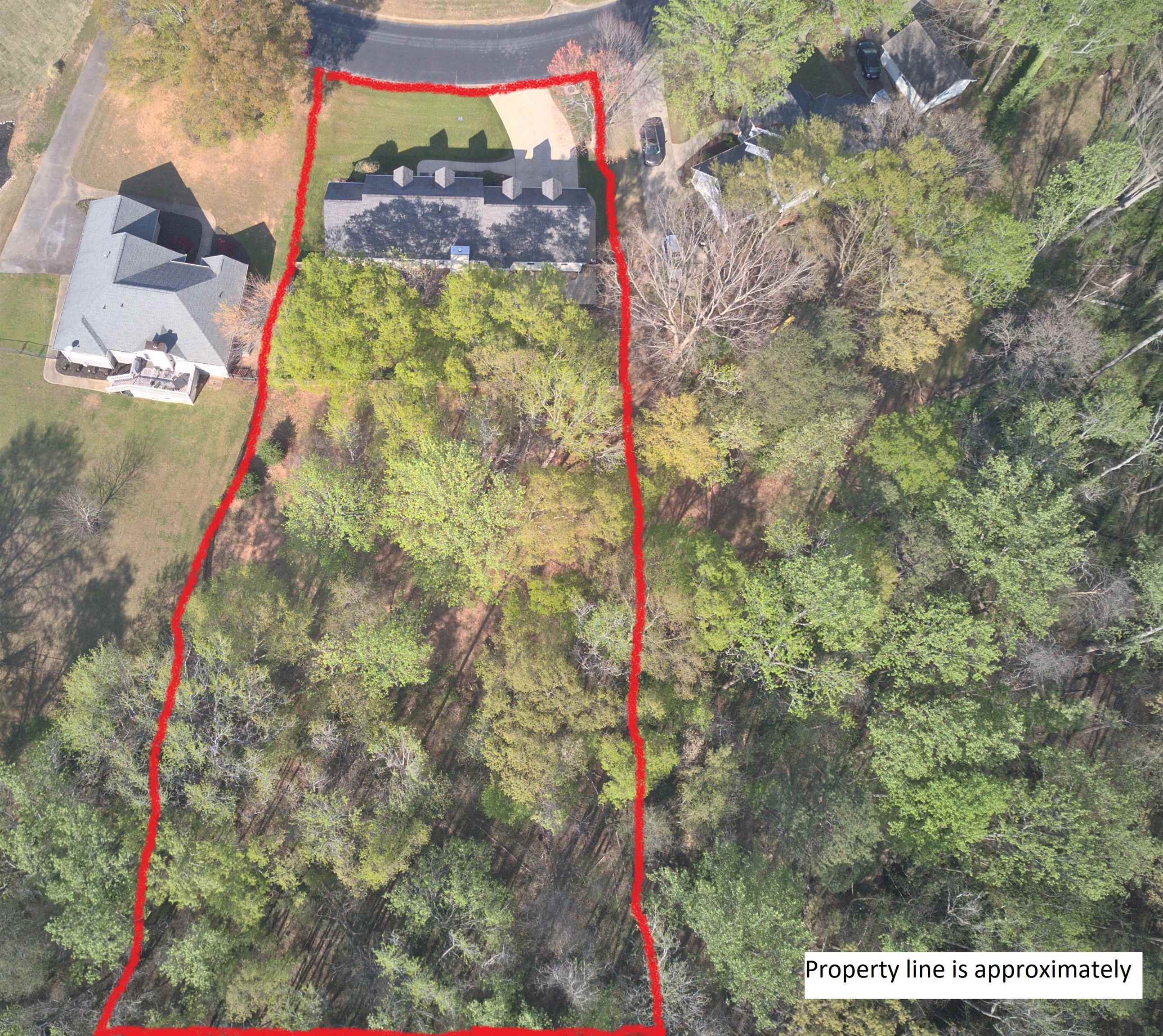 204 Georgetown Court Moore, SC 29369 - Photo 3 of 38