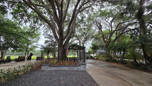 a view of road with trees