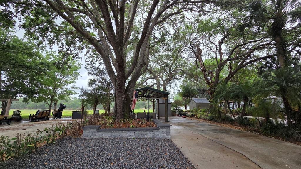 a view of road with trees
