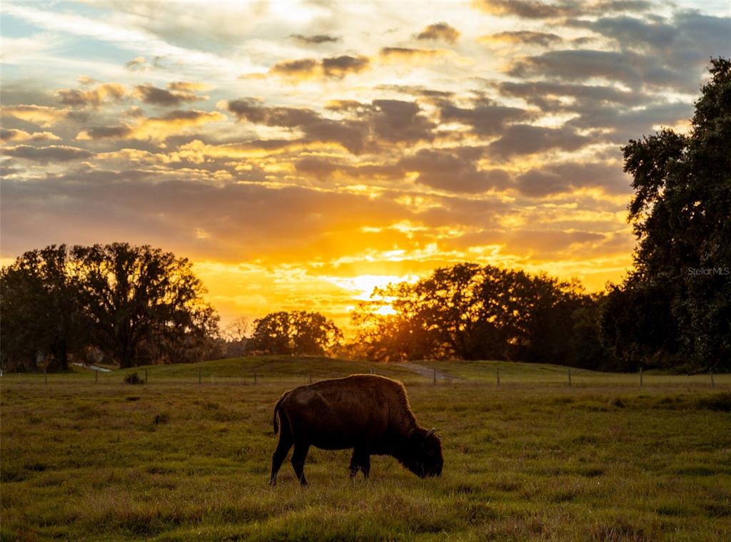 161 Horseshoe Bend River Ranch, FL 33867 - Photo 16 of 20 a view of lake with mountain view