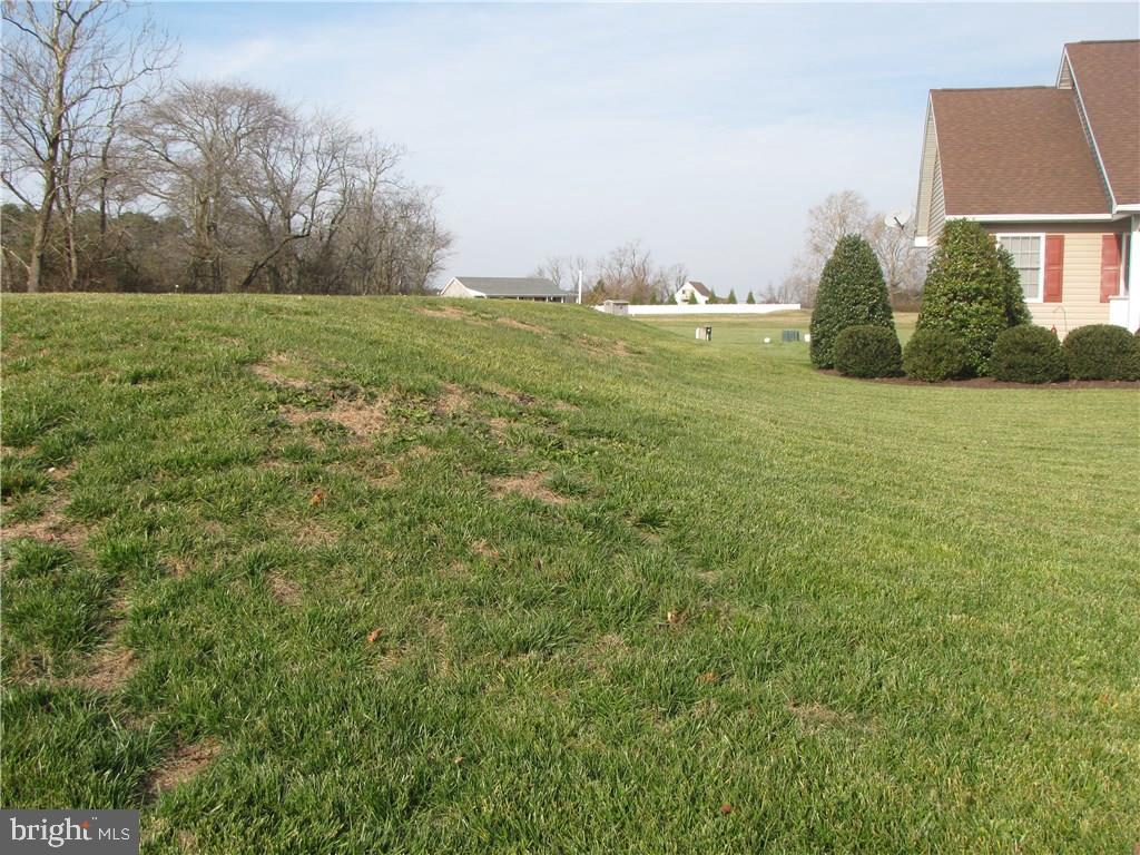 8737 Bacons Road Laurel, DE 19956 - Photo 3 of 20 Gallery Image 3