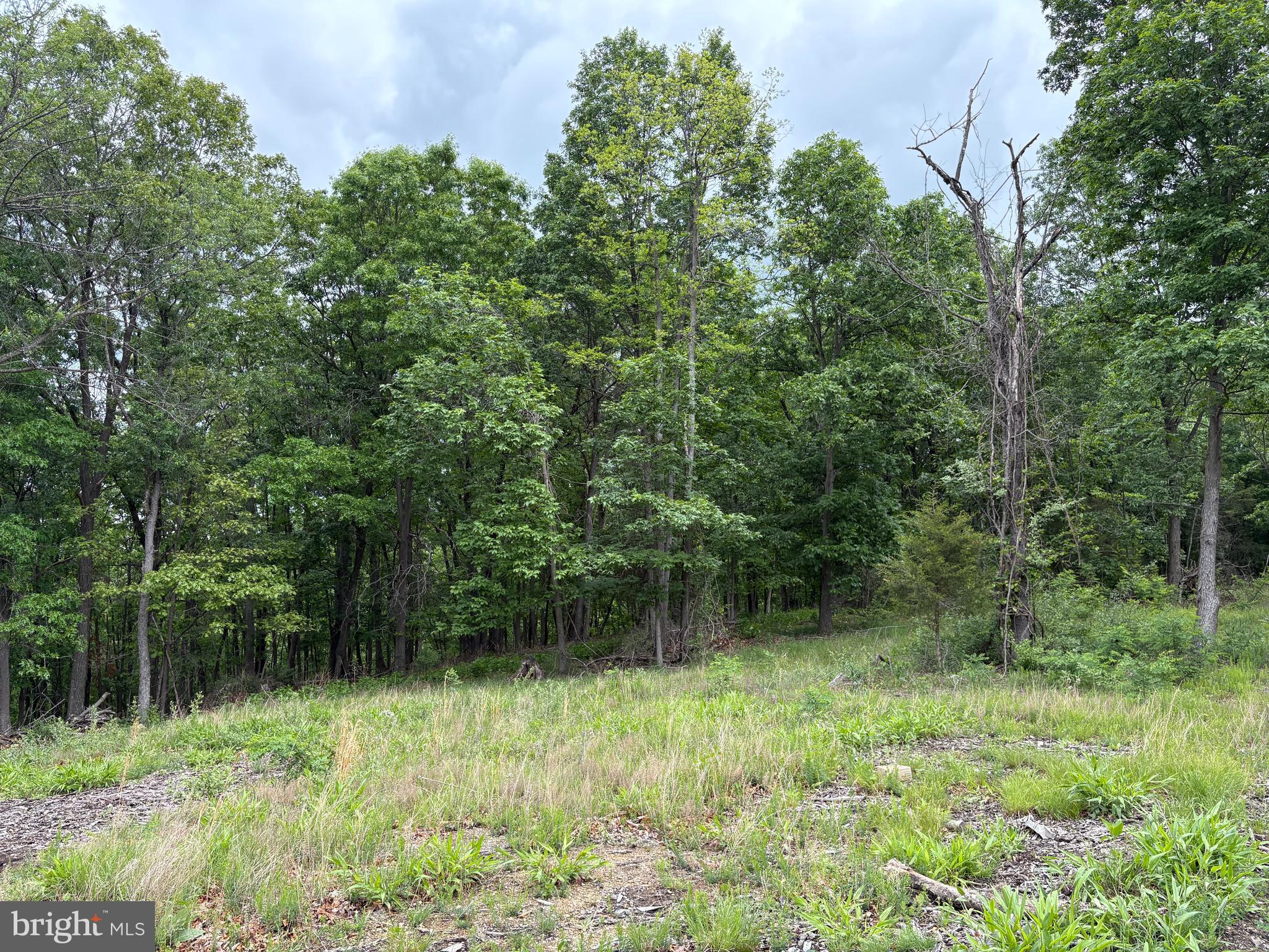 40.15-ac Middle Ridge Road Burlington, WV 26710 - Photo 19 of 47