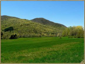 422 Ebenville Road Rupert, VT 05776 - Photo 4 of 19 Gallery Image 4