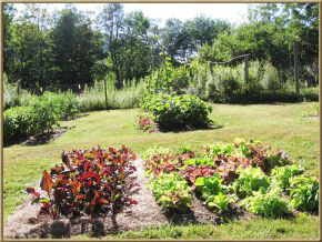 422 Ebenville Road Rupert, VT 05776 - Photo 10 of 19 Gallery Image 10