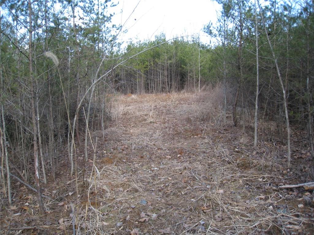 26 Edwards Road Rural Hall, NC 27045 - Photo 4 of 9
