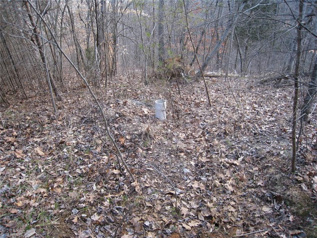 26 Edwards Road Rural Hall, NC 27045 - Photo 5 of 9