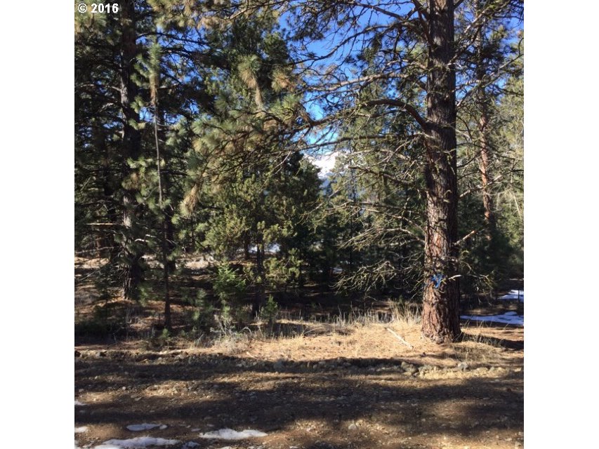 0 Pine View Road, Unit LOT 1 Baker City, OR 97814 - Photo 2 of 5 Gallery Image 2